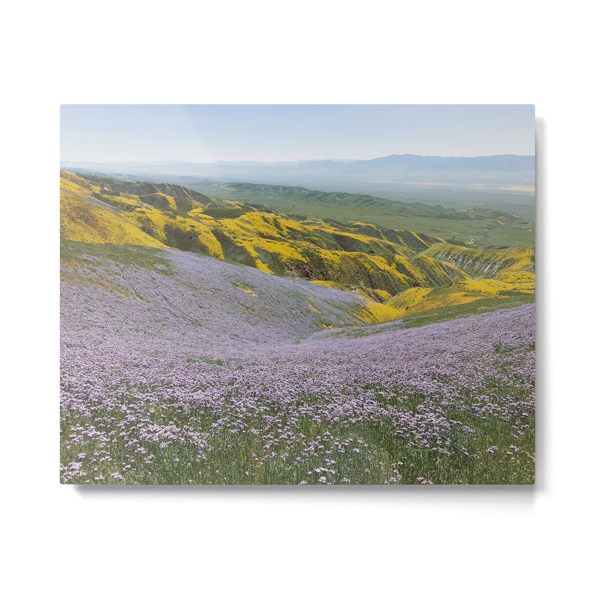 California Wildflowers Metal Print Gallery Image 4