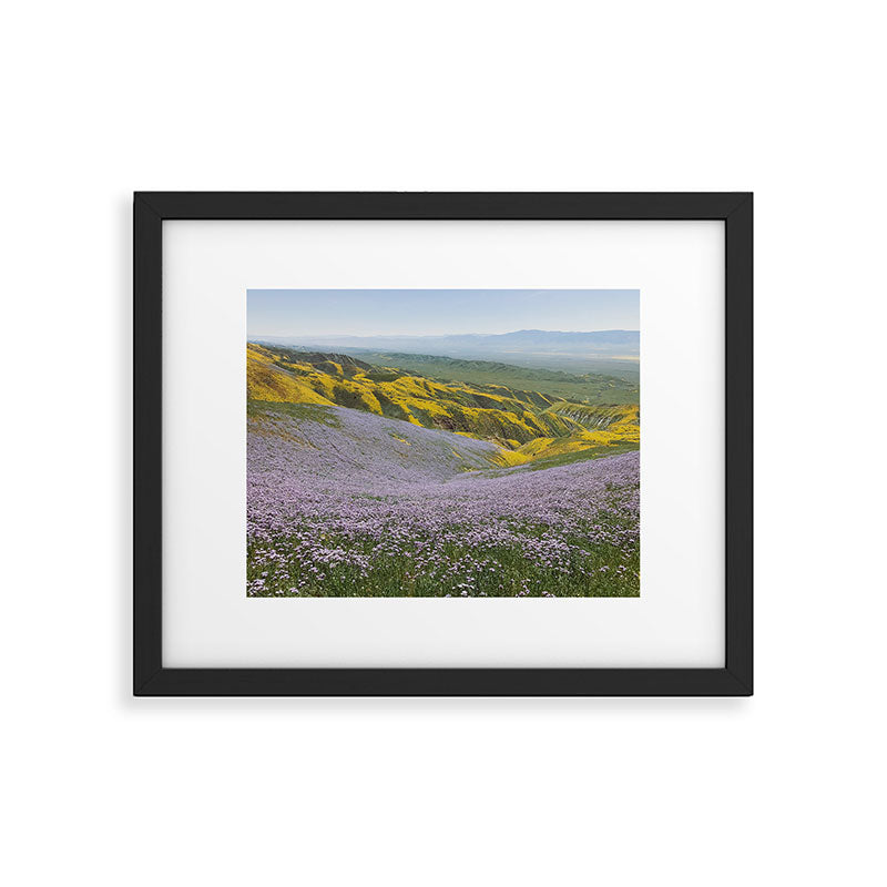 California Wildflowers Framed Art Print Gallery Image 5