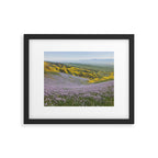 California Wildflowers Framed Art Print Gallery Image 5