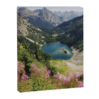 Cascade Summer Wildflowers Canvas Print Gallery Image 6