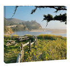 Coastal California Sunset With Wildflowers Canvas Print Gallery Image 12