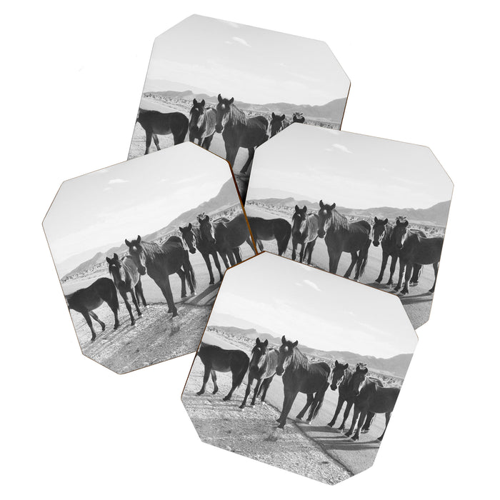 Cold Creek Horse Crew Coaster Gallery Image 1
