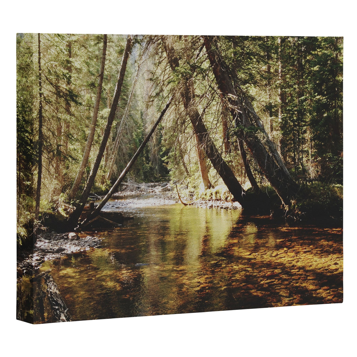 East Inlet Creek Canvas Print Gallery Image 3