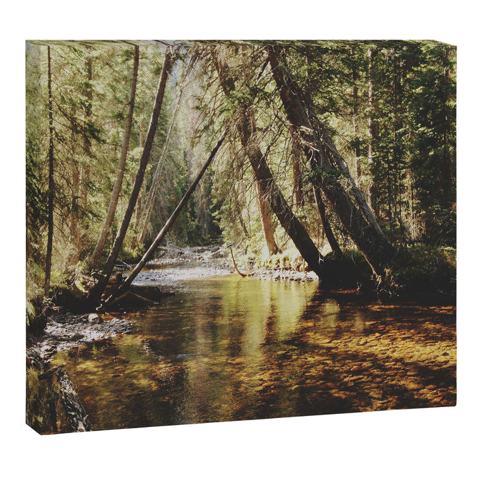 East Inlet Creek Canvas Print Gallery Image 1