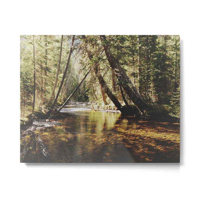 East Inlet Creek Metal Print Gallery Image 1