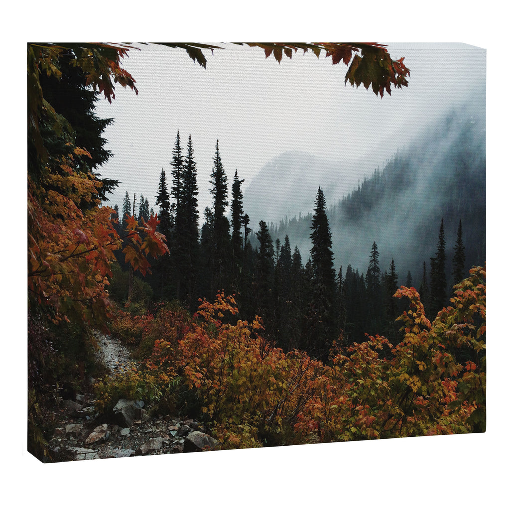 Fall Framed Trail Canvas Print Gallery Image 12
