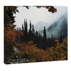 Fall Framed Trail Canvas Print Gallery Image 12