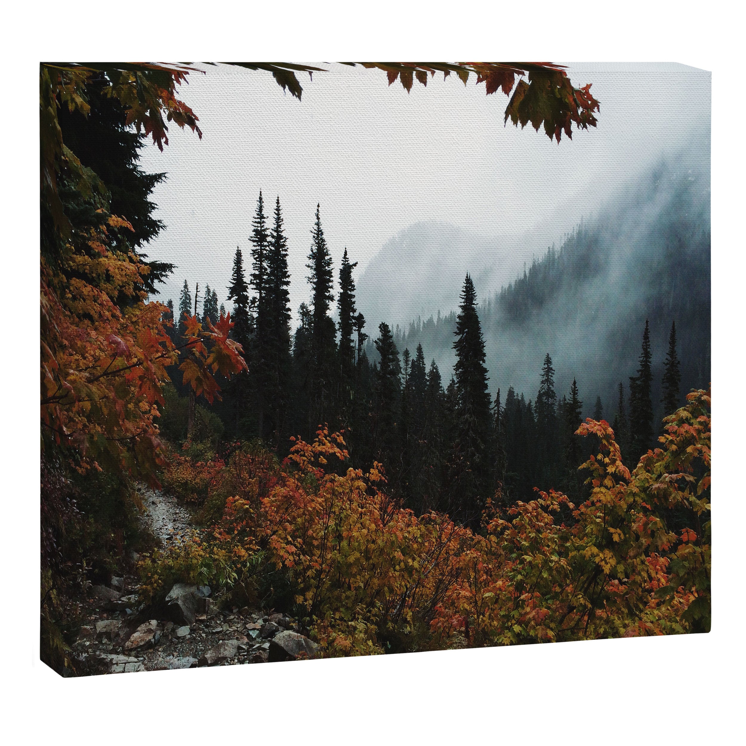 Fall Framed Trail Canvas Print Gallery Image 12