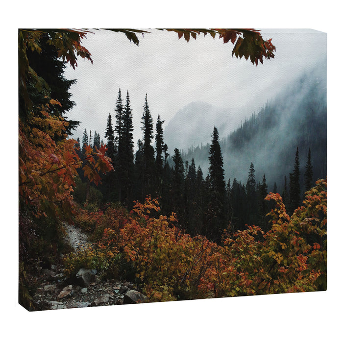 Fall Framed Trail Canvas Print Gallery Image 1