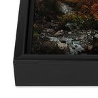 Fall Framed Trail Framed Canvas Print Gallery Image 3