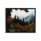 Fall Framed Trail Framed Canvas Print Gallery Image 2