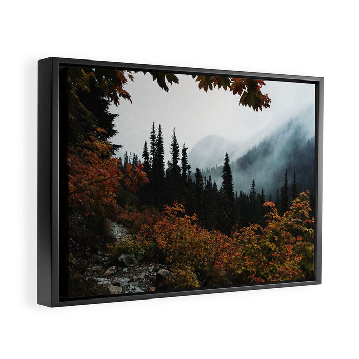 Fall Framed Trail Framed Canvas Print Gallery Image 1