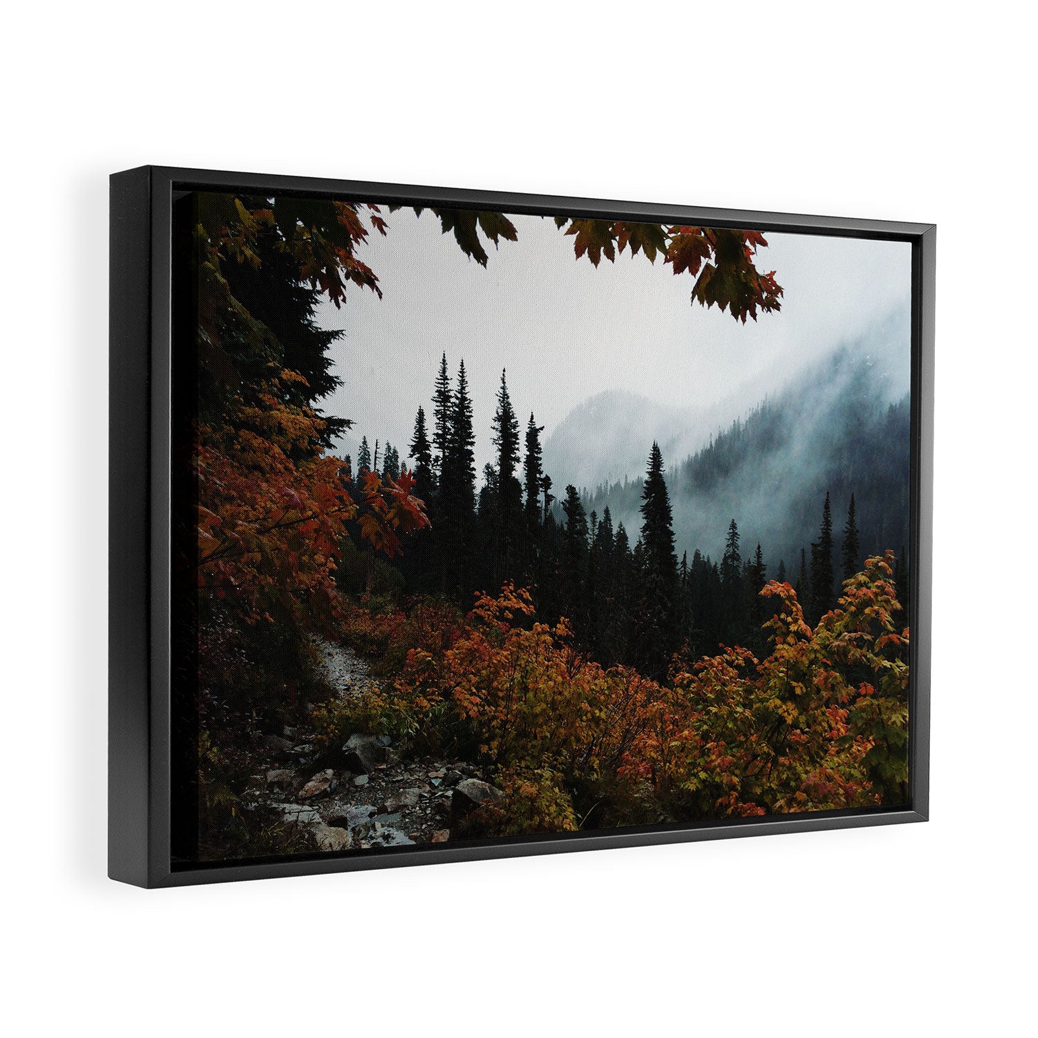 Fall Framed Trail Framed Canvas Print Gallery Image 6