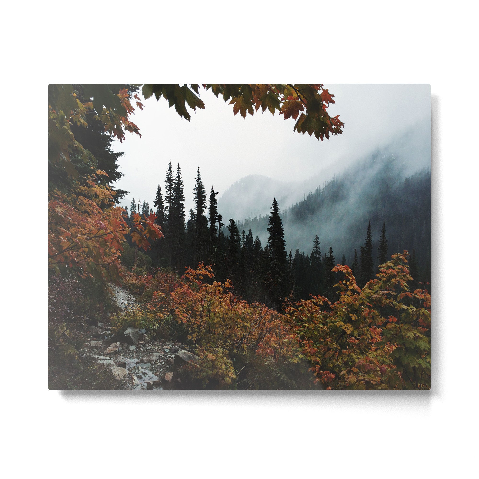 Fall Framed Trail Metal Print Gallery Image 4