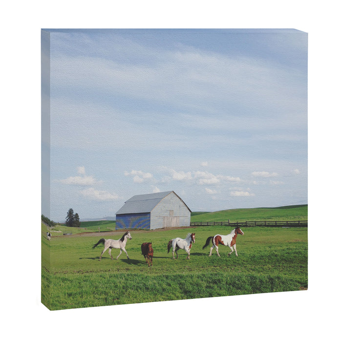 Farm Horses Canvas Print Gallery Image 1