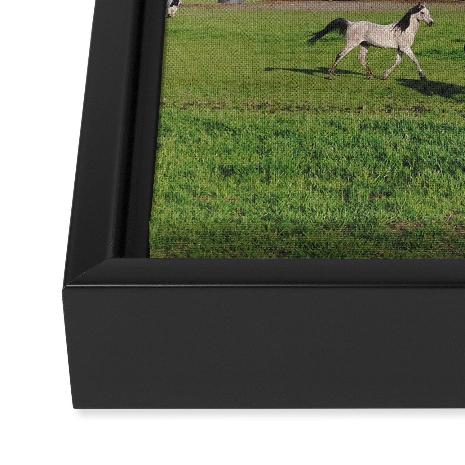 Farm Horses Framed Canvas Print Gallery Image 2