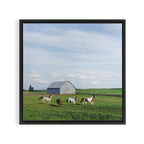 Farm Horses Framed Canvas Print Gallery Image 3