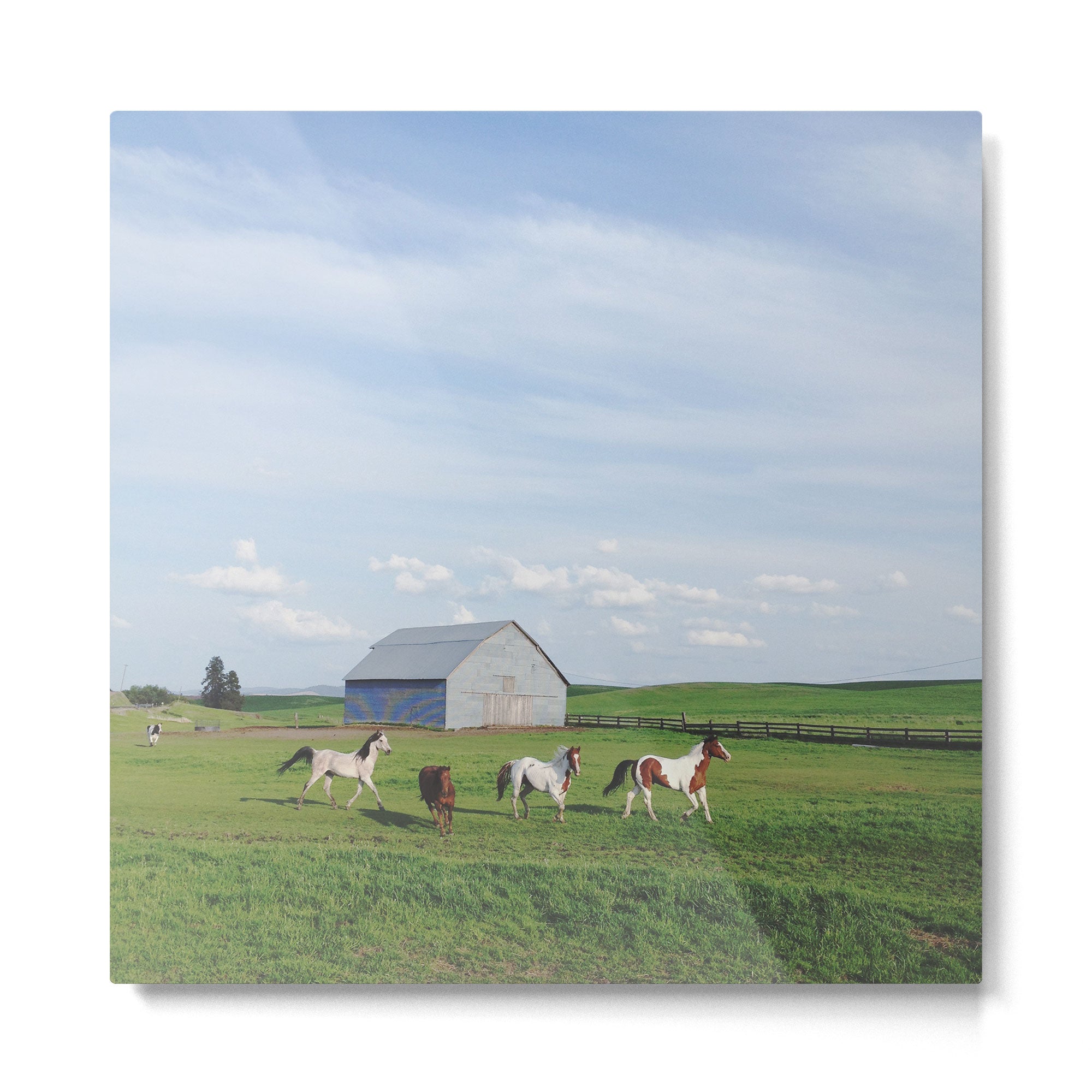 Farm Horses Metal Print Gallery Image 2