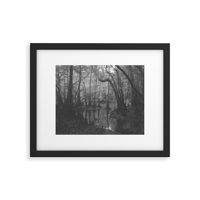 Florida Swamp Framed Art Print Gallery Image 5