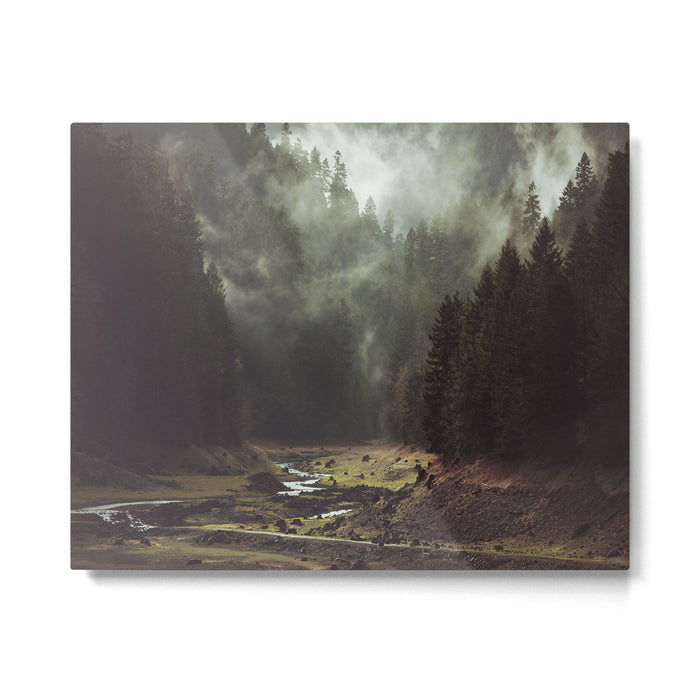 Foggy Forest Creek Metal Print Gallery Image 1