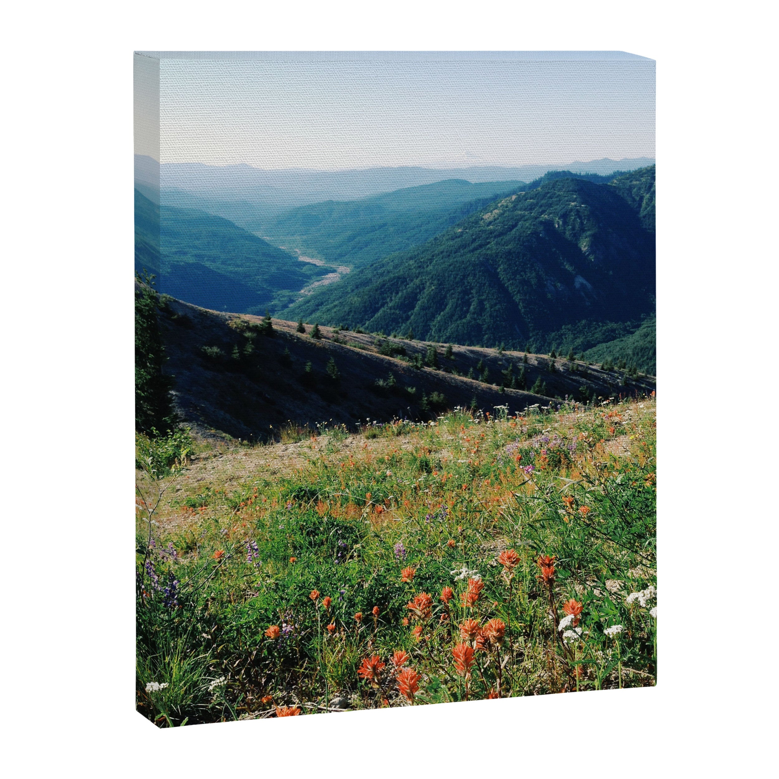 Gifford Pinchot National Forest Canvas Print Gallery Image 6