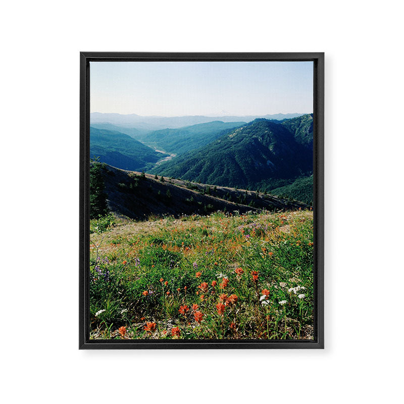 Gifford Pinchot National Forest Framed Canvas Print Gallery Image 6