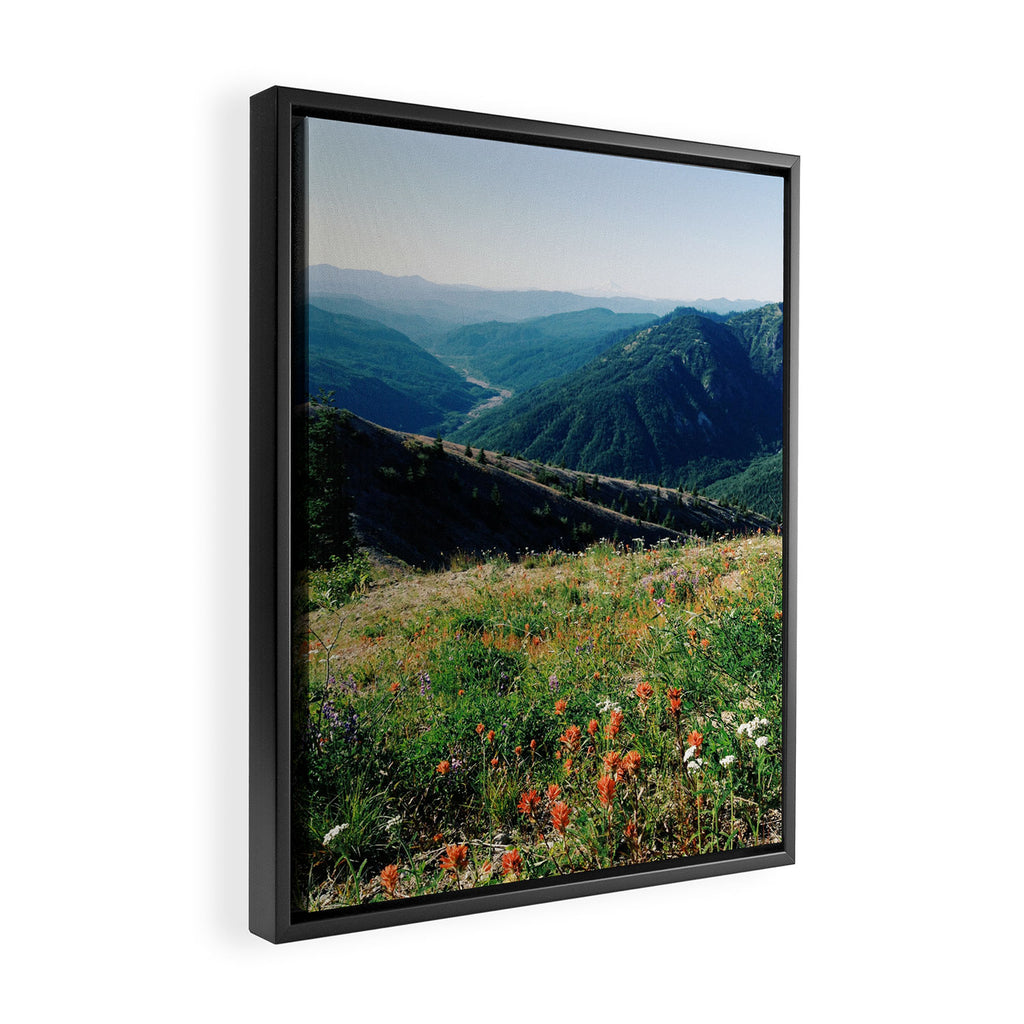 Gifford Pinchot National Forest Framed Canvas Print Gallery Image 2
