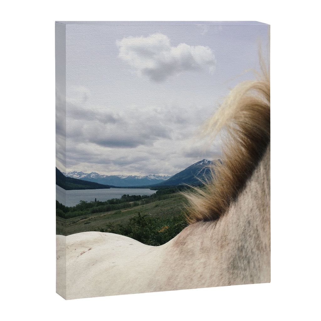 Horse Back Canvas Print Gallery Image 6