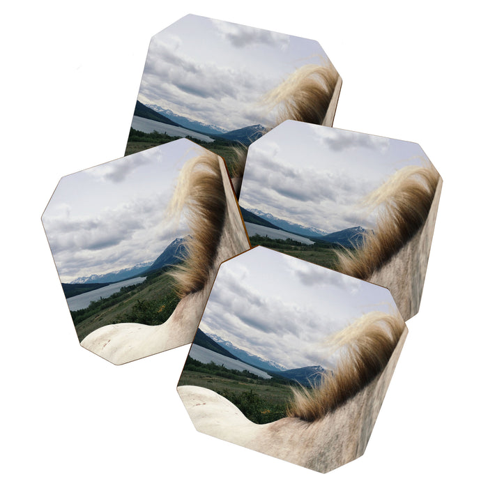 Horse Back Coaster Gallery Image 1