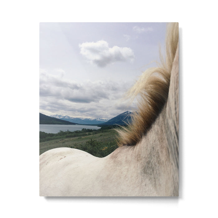 Horse Back Metal Print Gallery Image 1