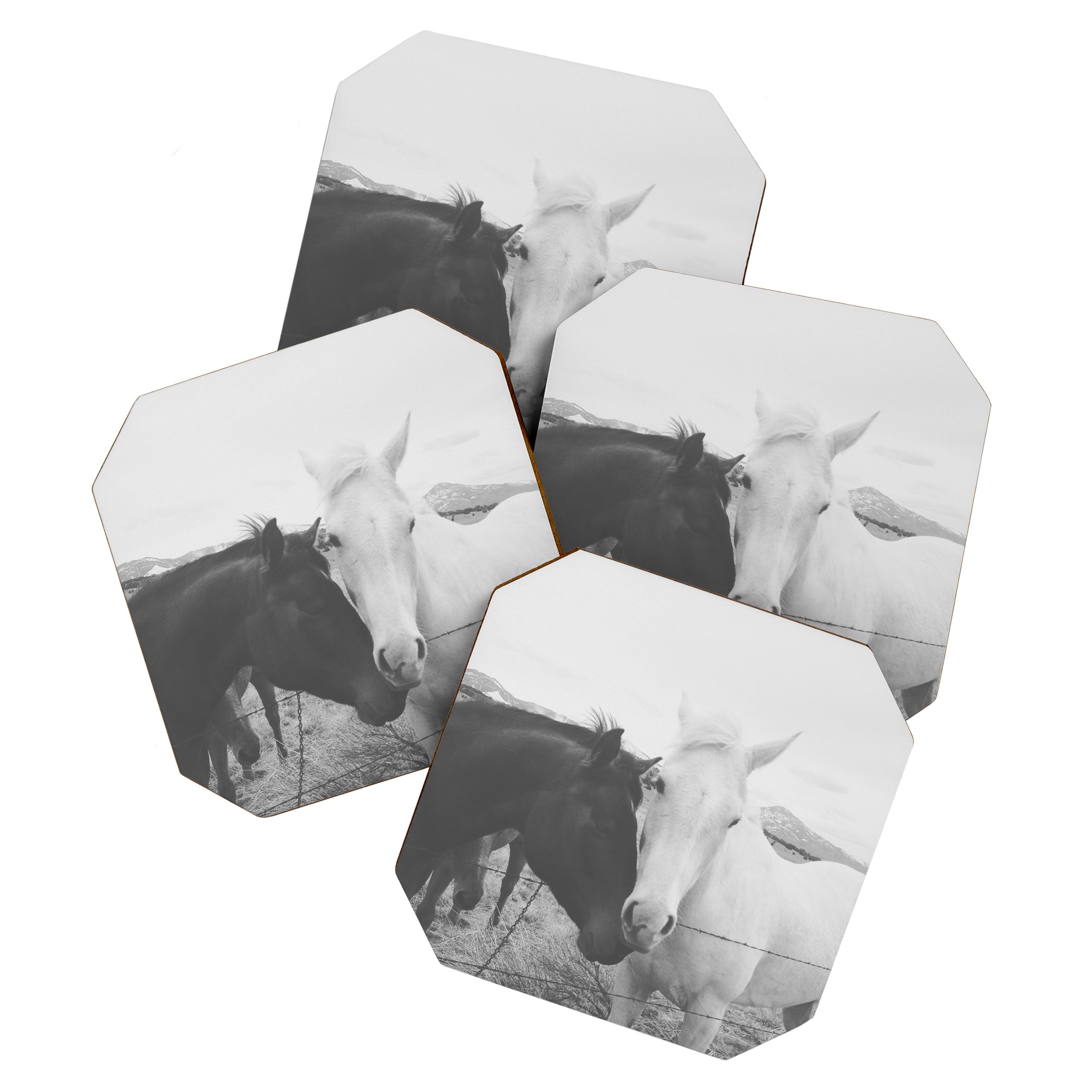Horse Pair Coaster Gallery Image 1