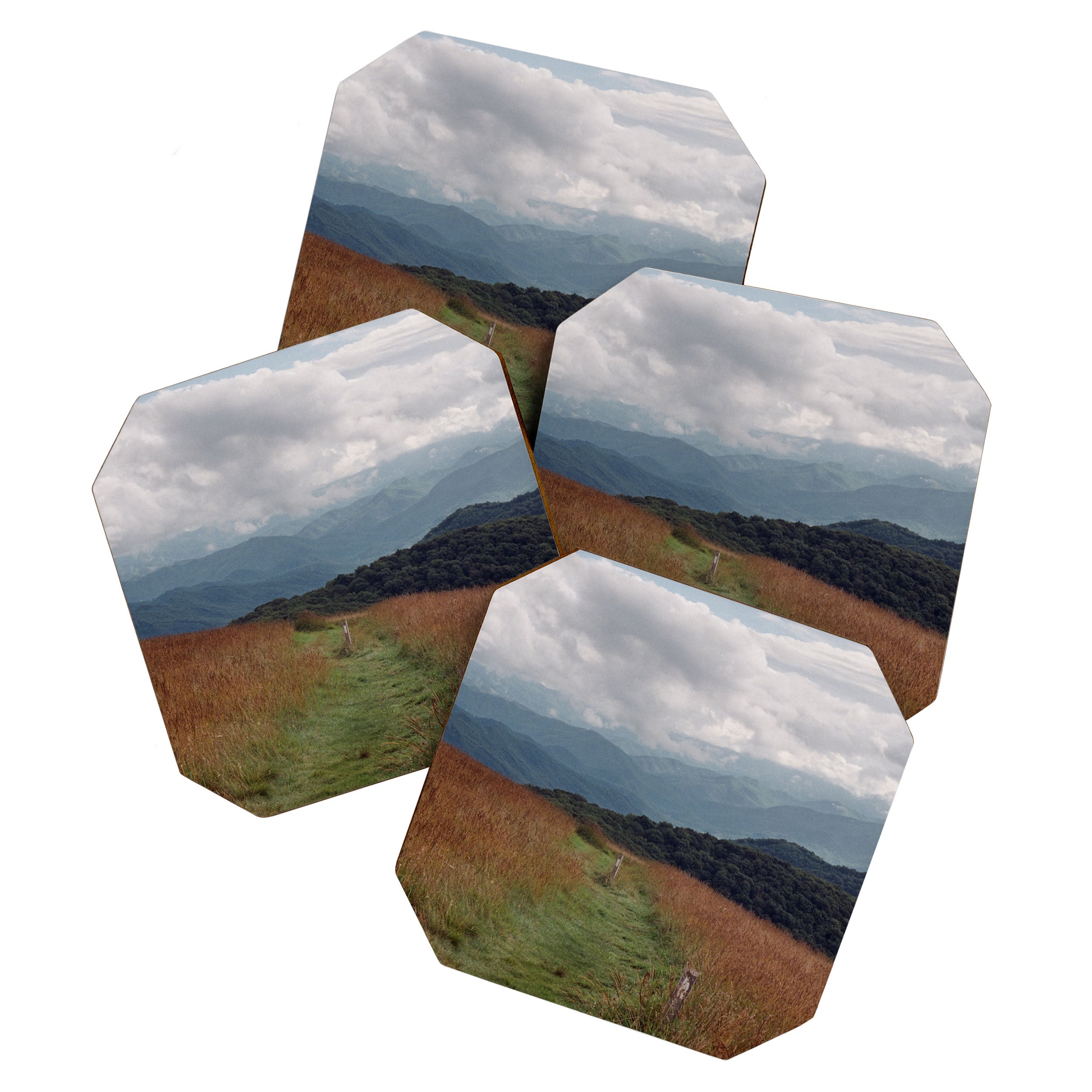 Max Patch Coaster Gallery Image 1