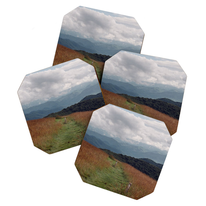 Max Patch Coaster Gallery Image 1