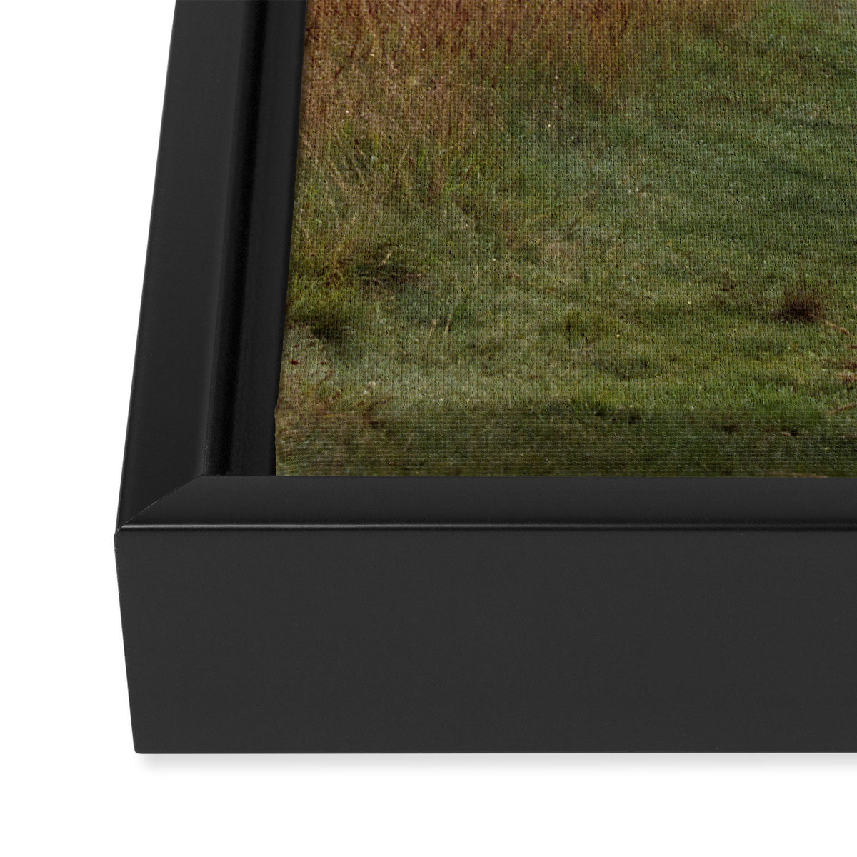Max Patch Framed Canvas Print Gallery Image 3