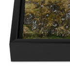 Mint Hut Framed Canvas Print Gallery Image 3