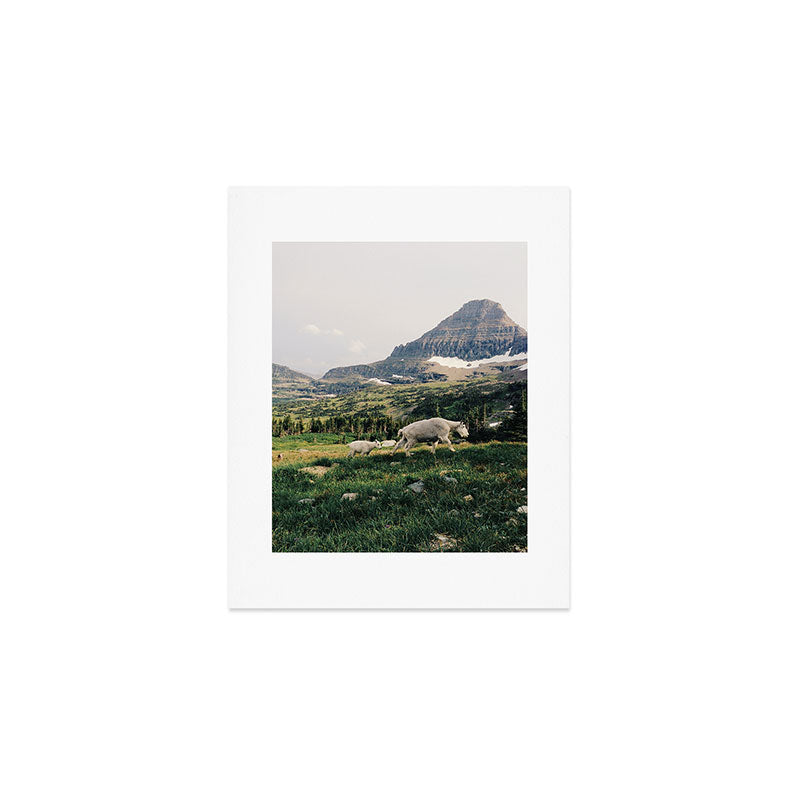 Montana Mountain Goat Family Art Print Gallery Image 1
