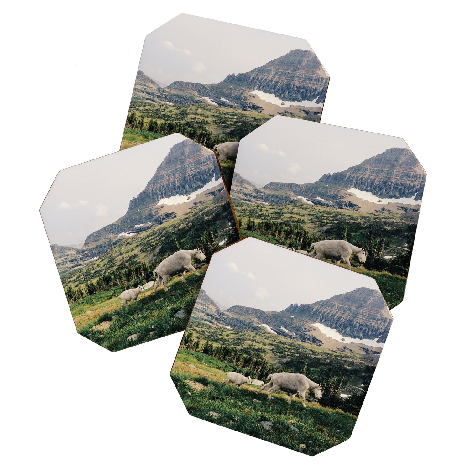 Montana Mountain Goat Family Coaster Gallery Image 1