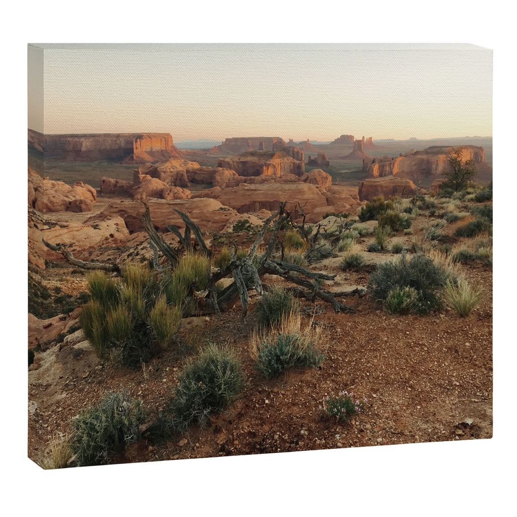Monument Valley Morning Canvas Print Gallery Image 6