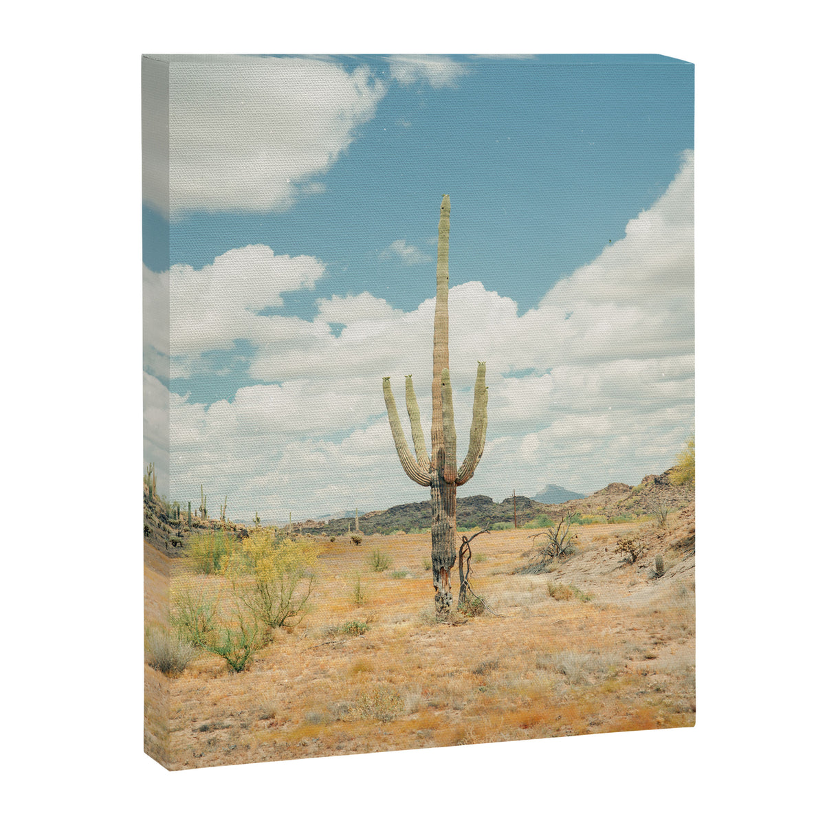 Old West Arizona Canvas Print Gallery Image 6