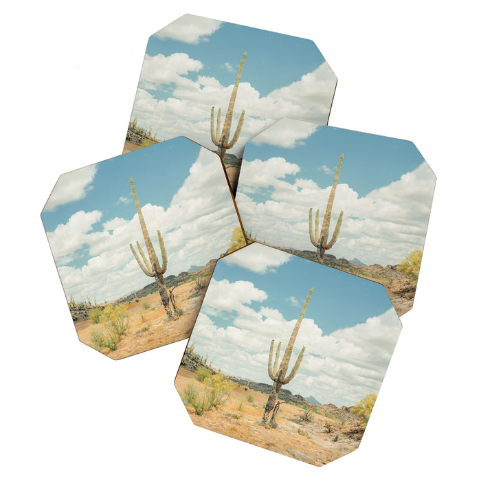 Old West Arizona Coaster Gallery Image 1