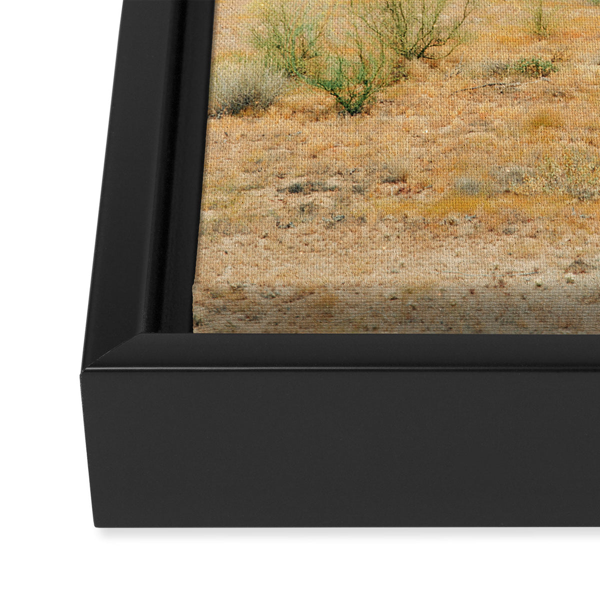 Old West Arizona Framed Canvas Print Gallery Image 3