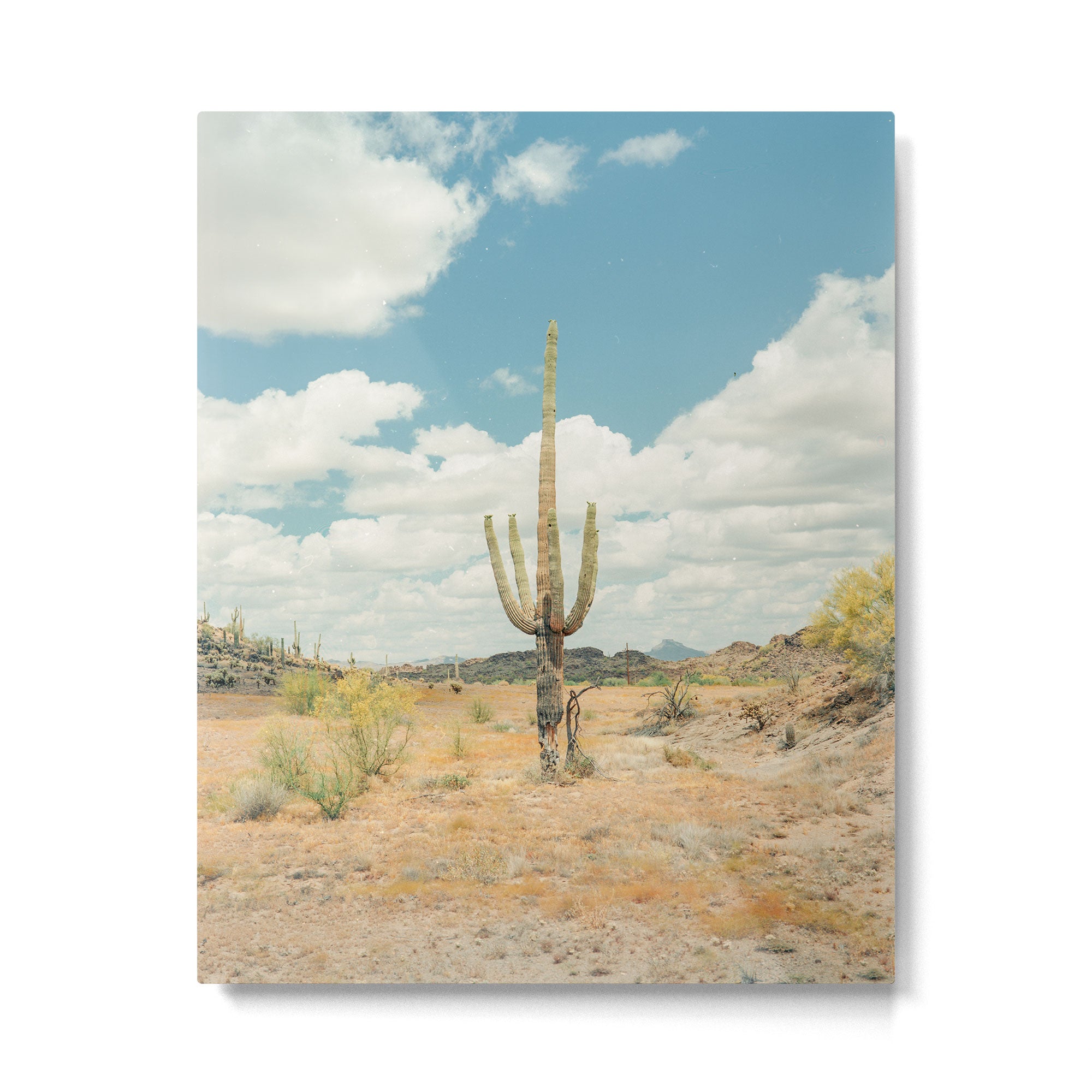 Old West Arizona Metal Print Gallery Image 4