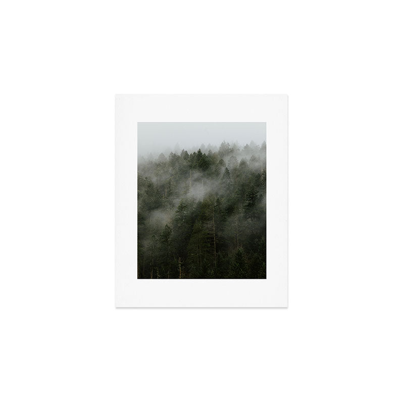 Pacific Northwest Foggy Forest Art Print Gallery Image 1
