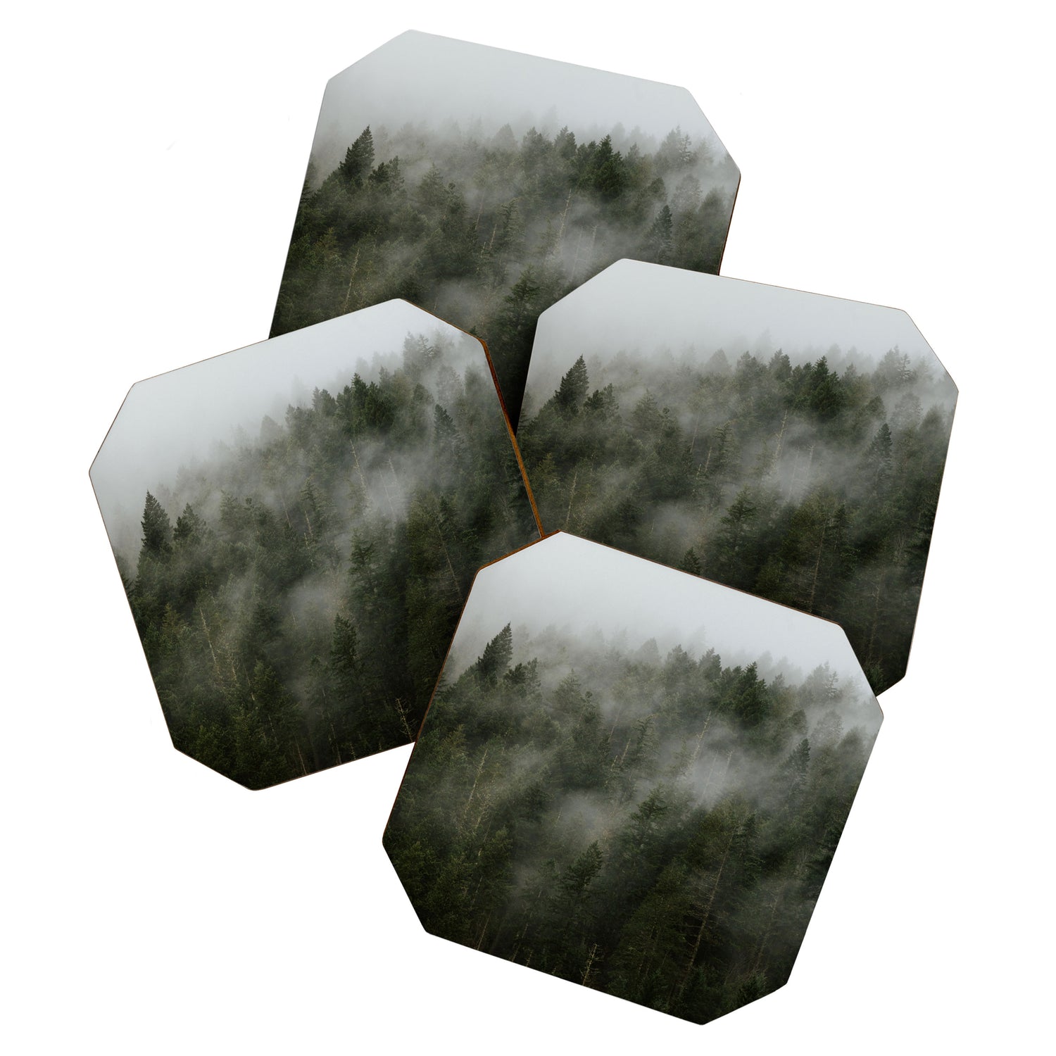Pacific Northwest Foggy Forest Coaster Gallery Image 1