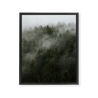 Pacific Northwest Foggy Forest Framed Canvas Print Gallery Image 6