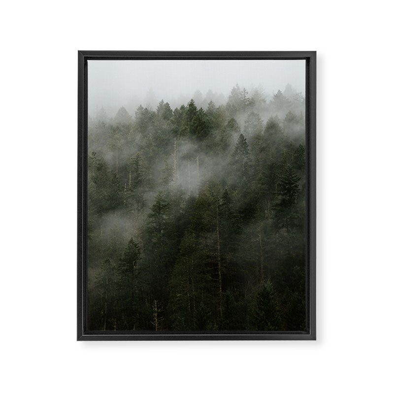 Pacific Northwest Foggy Forest Framed Canvas Print Gallery Image 6