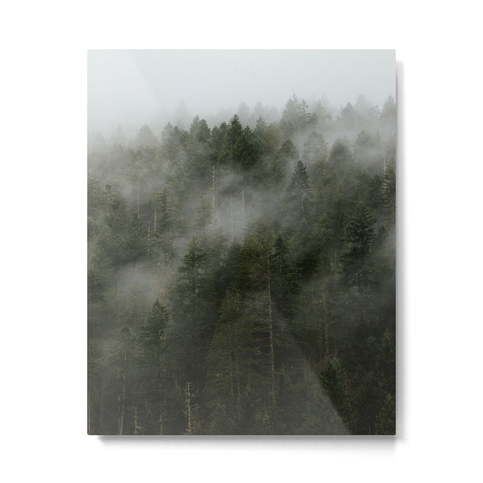 Pacific Northwest Foggy Forest Metal Print Gallery Image 1