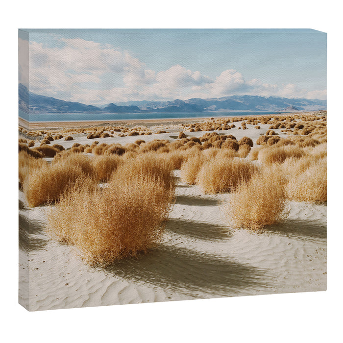 Paiute Land Canvas Print Gallery Image 1