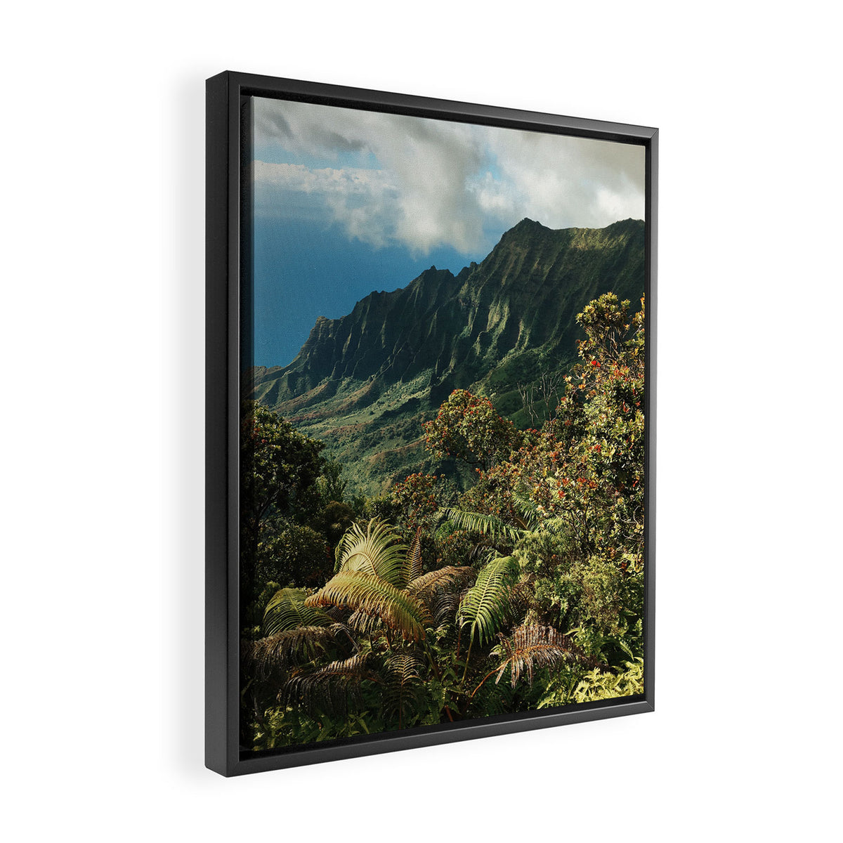 Puu O Kila Framed Canvas Print Gallery Image 2