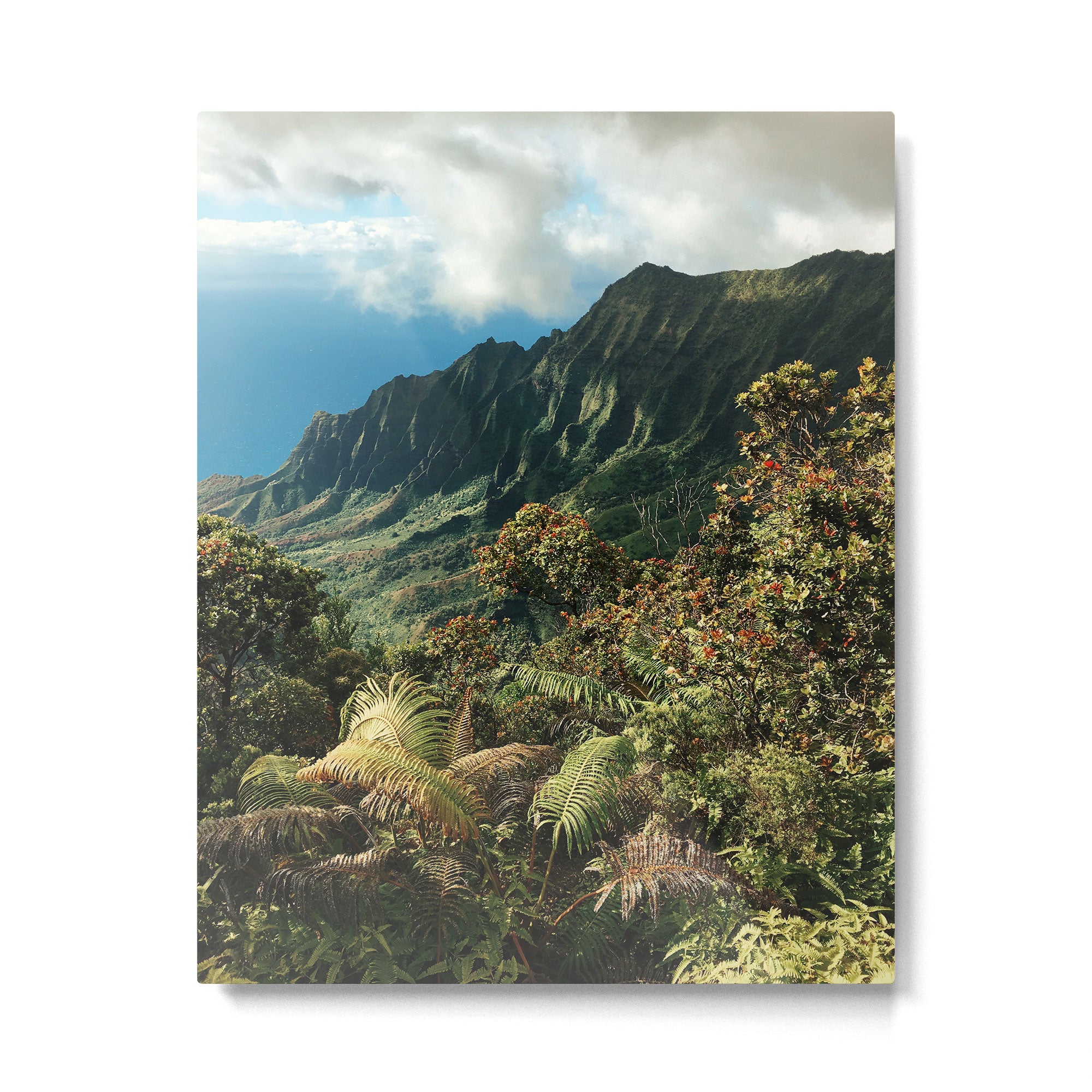 Puu O Kila Metal Print Gallery Image 4
